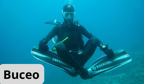 BuceoESP
