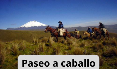 Paseo a caballoESP